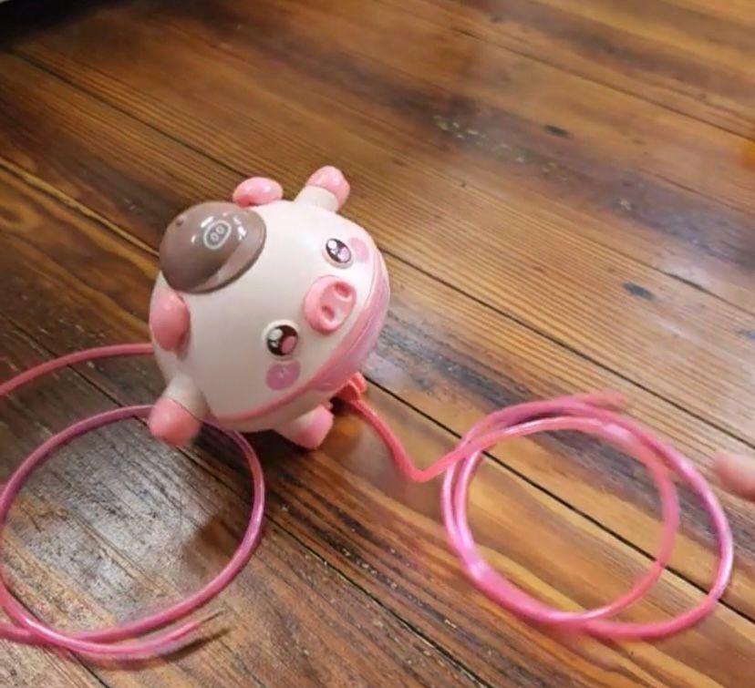 Tightrope Walking Tumbler Pig Toy – For Children